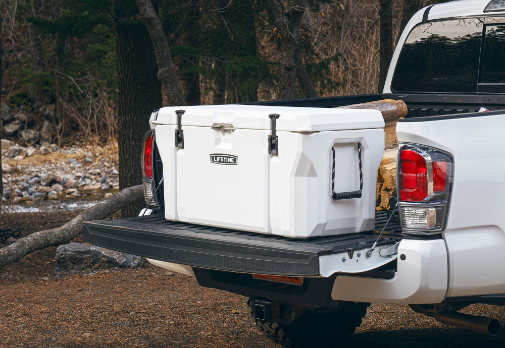 cooler box portable